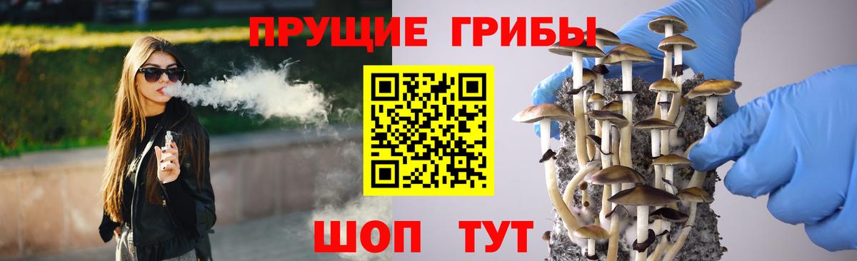 Галлюциногенные грибы GOLDEN TEACHER Алейск